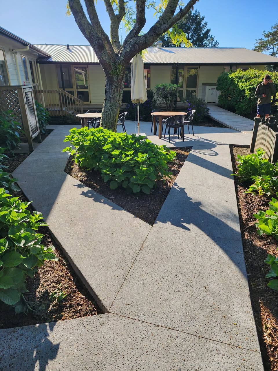 Concrete pathways winding through planted garden beds around a courtyard tree.