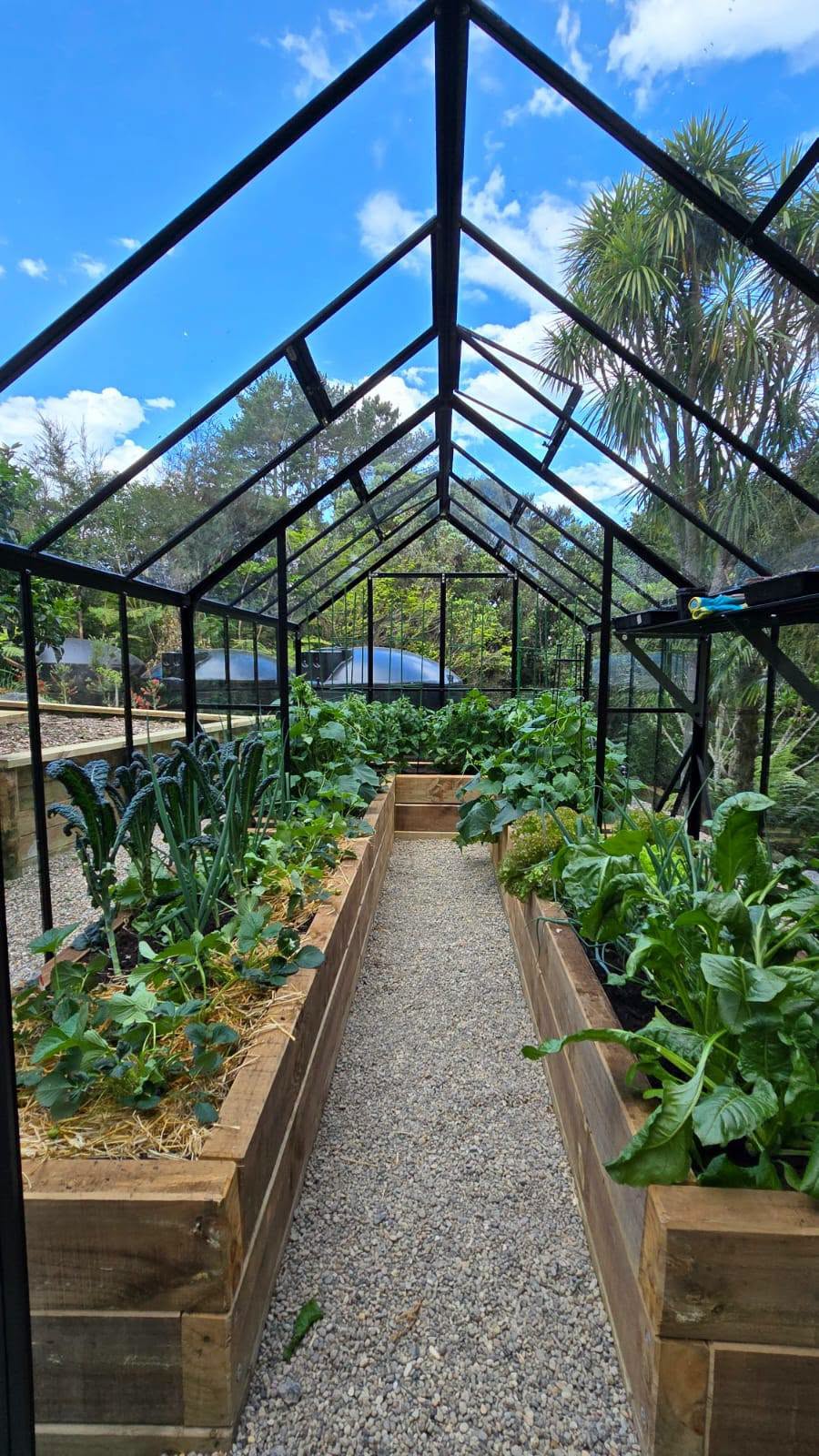 A greenhouse beside raised garden beds and a gravel path.